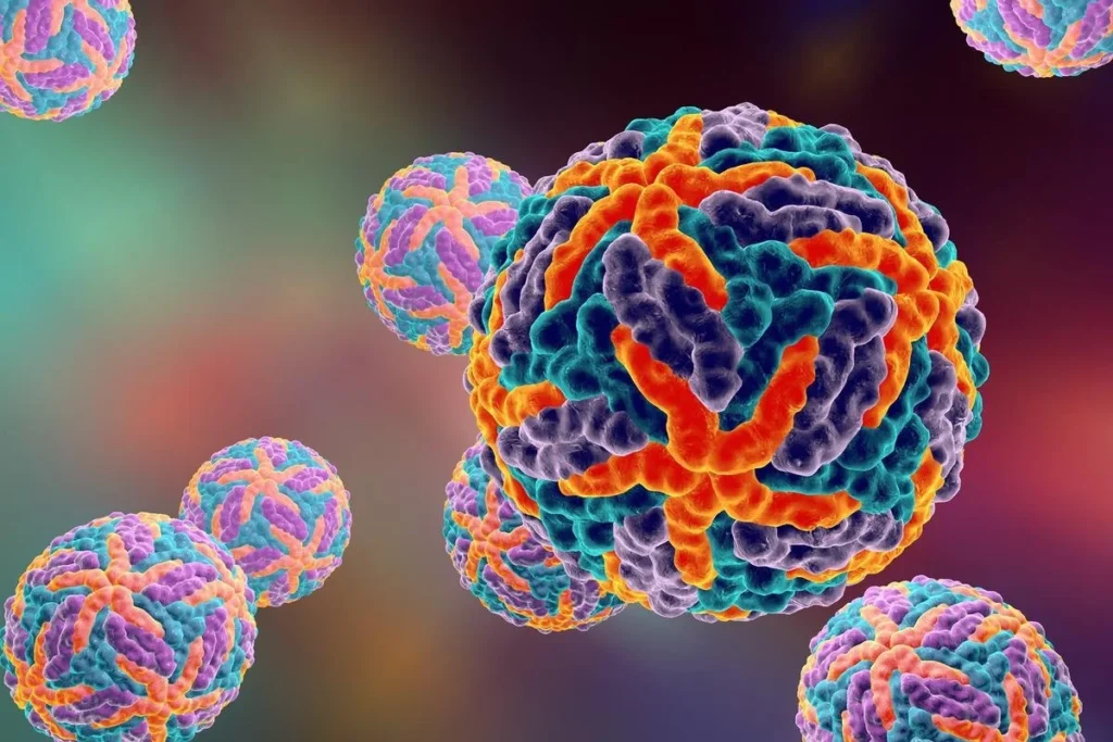 Dengue Virus