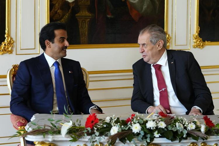 Amir of Qatar, Czech President hold official talks session