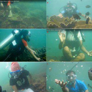 Indonesian dive tourism hindered by ecosystem damage, says IPB