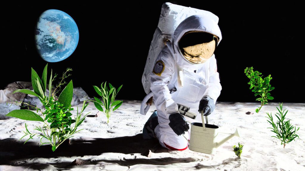 Australia seeks to grow plants on moon by 2025