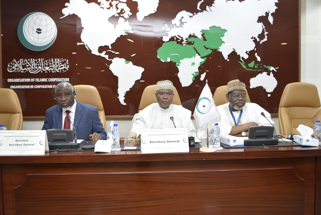 OIC holds meeting with African Group member states