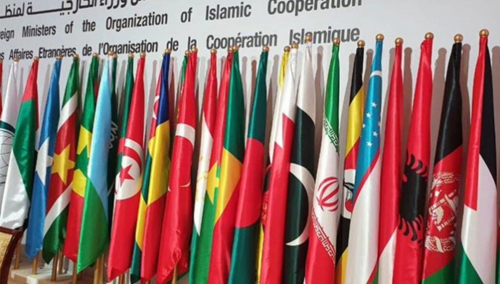 Türkiye to host OIC conference of Information Ministers