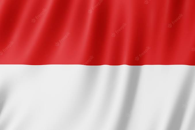 Indonesia $8 billion G20