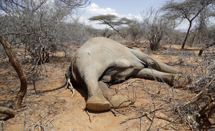 Kenya-b3954623-aada-495d-ba81-d506890d9e23