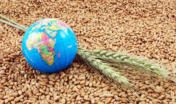 Oman invests over 2.6B dollars in food security