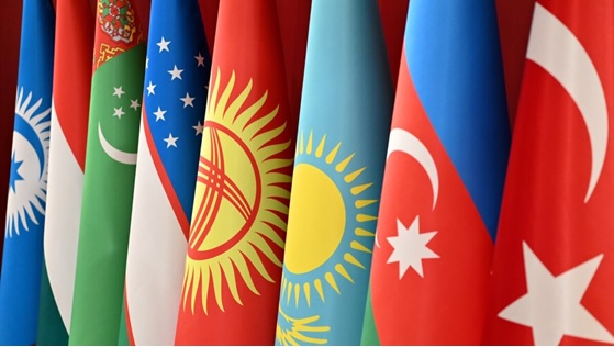 Organization of Turkic States at a new stage