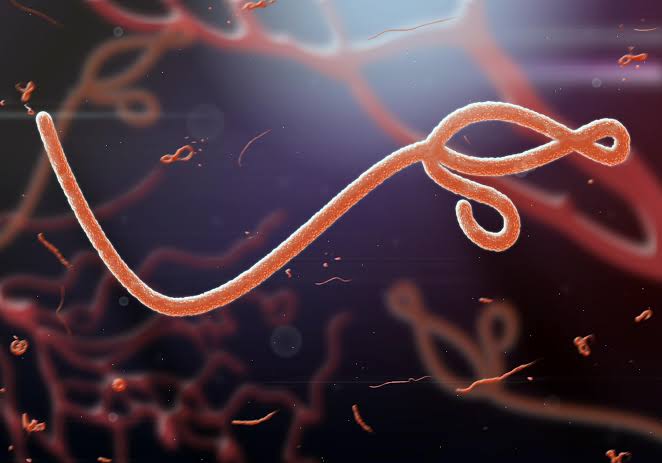 Uganda quarantine on Ebola