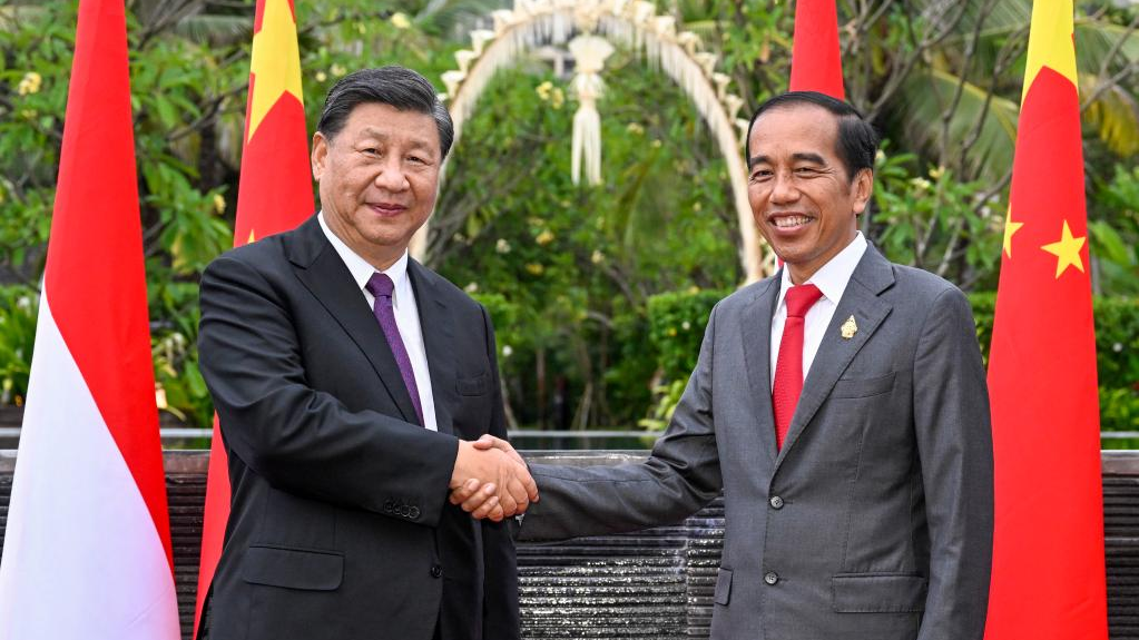 Xi, Jokowi agree on building China-Indonesia community with a shared future