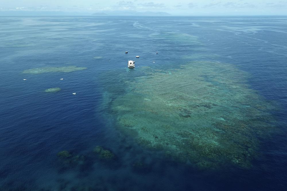 Australia argues against 'endangered' Barrier Reef status