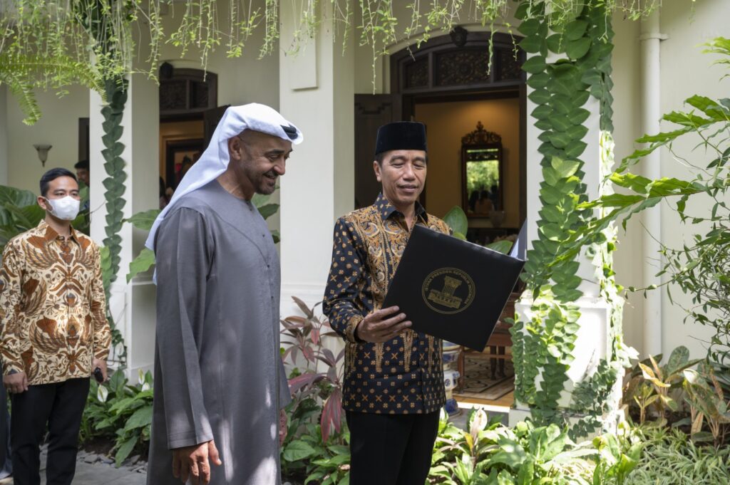 UAE, Indonesian Presidents hold talks to develop bilateral relations