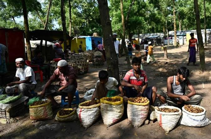 110 Rohingya