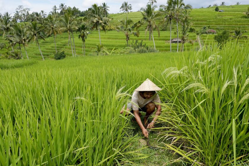 EU makes breakthrough on climate-protection import tax