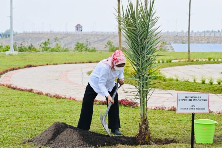 President Jokowi and First Lady plant date palms in Semantok Dam area