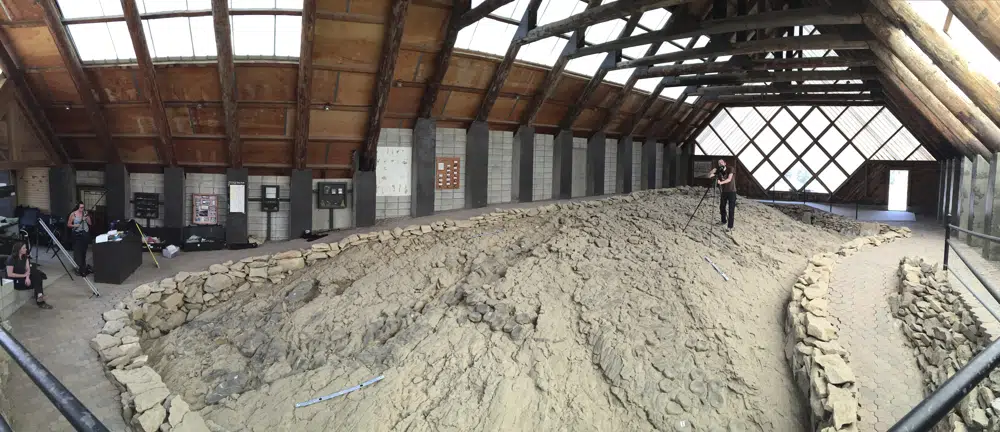 Mystery Nevada fossil site could be ancient maternity ward
