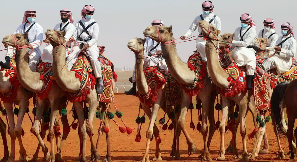 King Abdulaziz Camel Festival