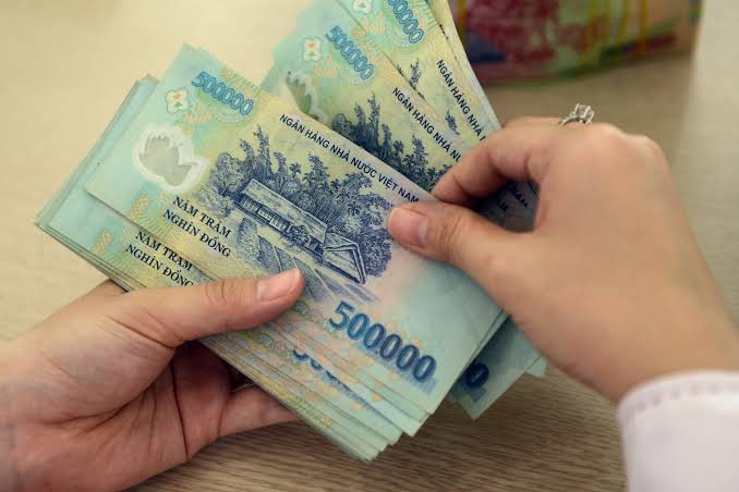 Vietnamese monthly income
