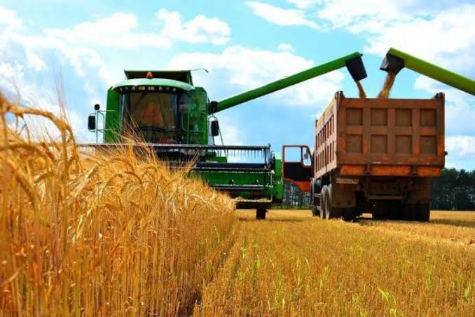 Wheat yield in Kazakhstan