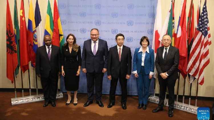 UN Security Council welcomes 5 new members