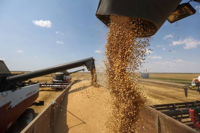 Russia grain Egypt Ruble
