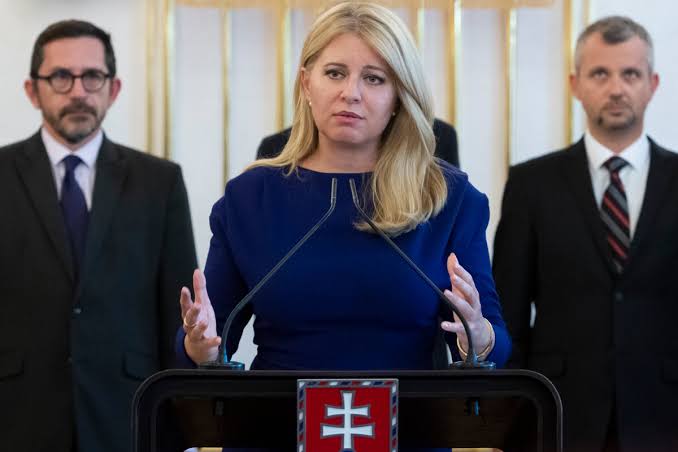 Slovakia holds referendum for early election