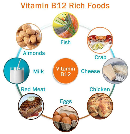 vitamin b12 role