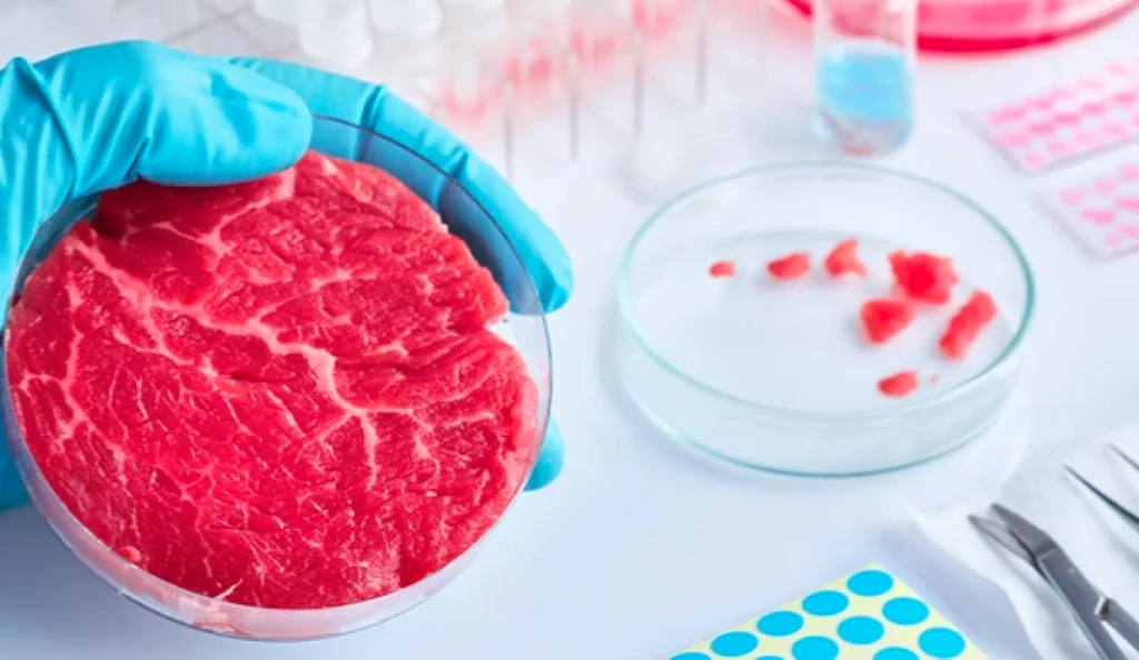 lab-grown 'real' meat
