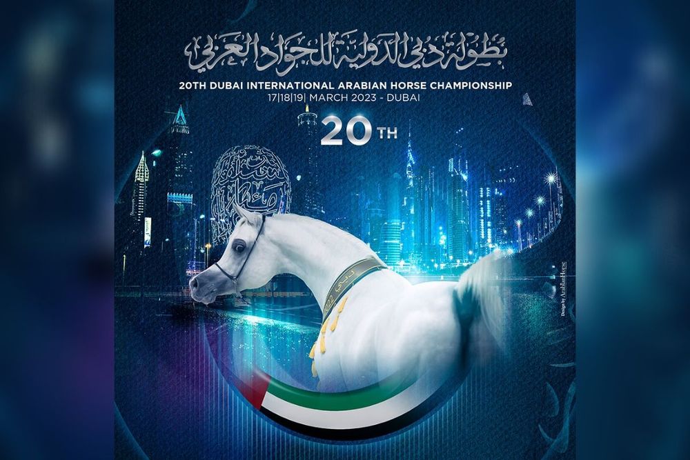 Dubai to host International Arabian Horse Championship