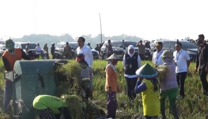 Indonesian President commences rice harvest in Ngawi District