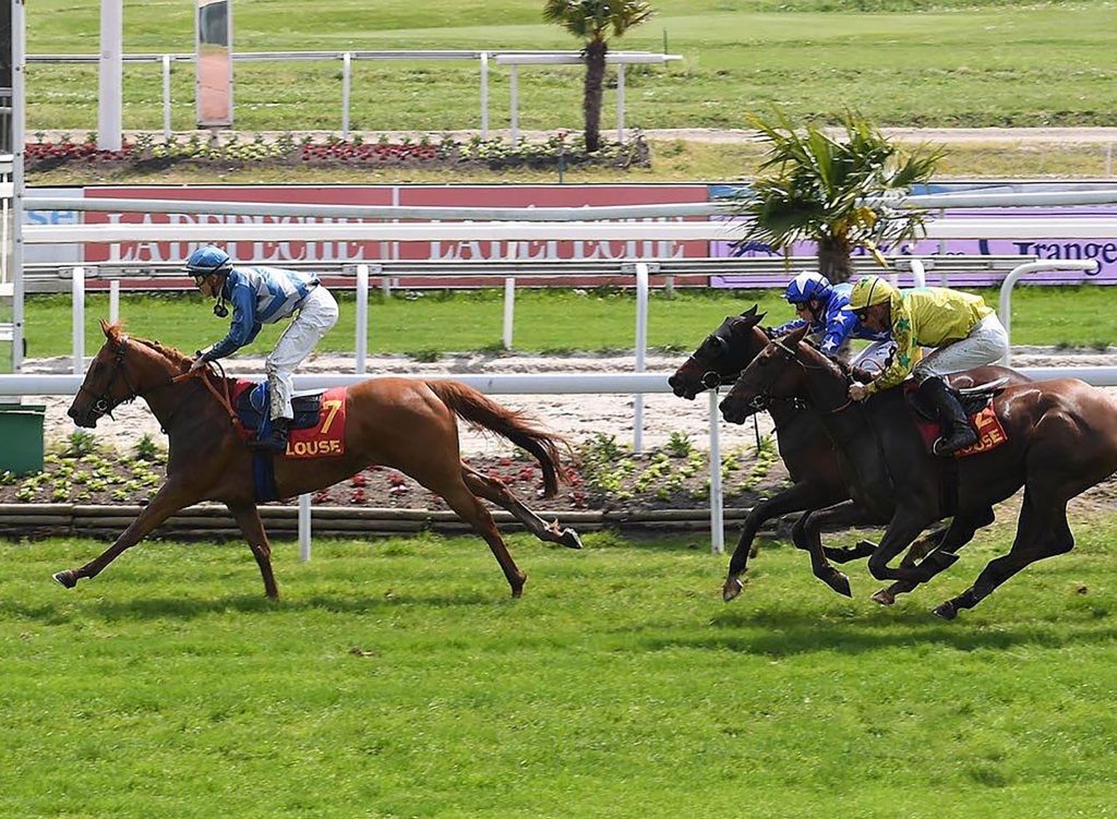 Mansour Zayed Racing Festival