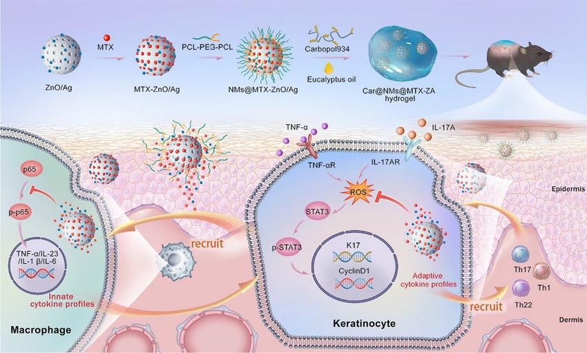Self Therapeutic Nanomaterials