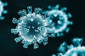 WHO warns COVID-19 pandemic still volatile