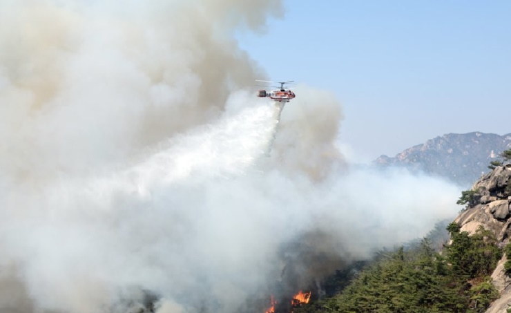 South Korean President orders all-out efforts against spring wildfires