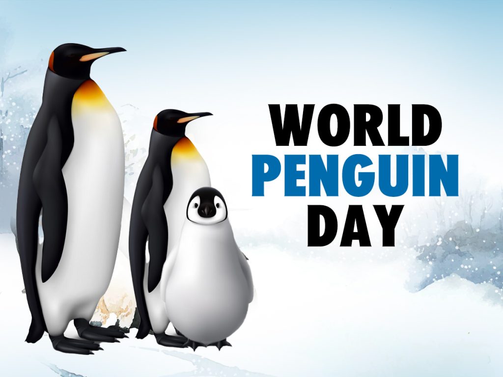 Al Ain Zoo marks World Penguin Day