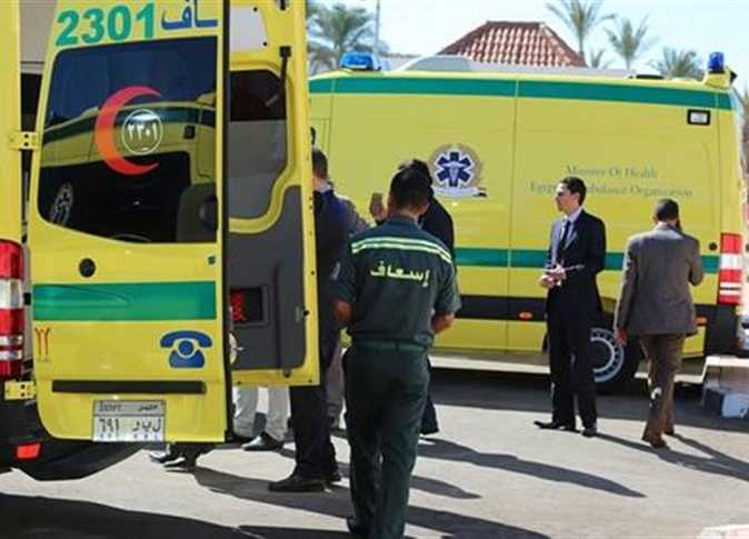 Road accident leaves 14 dead in Egypt