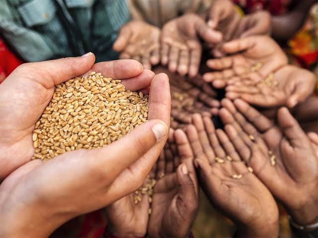 Food Scarcity Endangers Our Next Generation