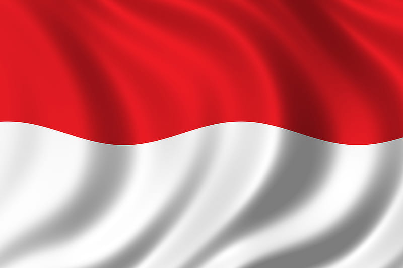 Indonesia's population projected to reach 324 million in 2045: Bappenas