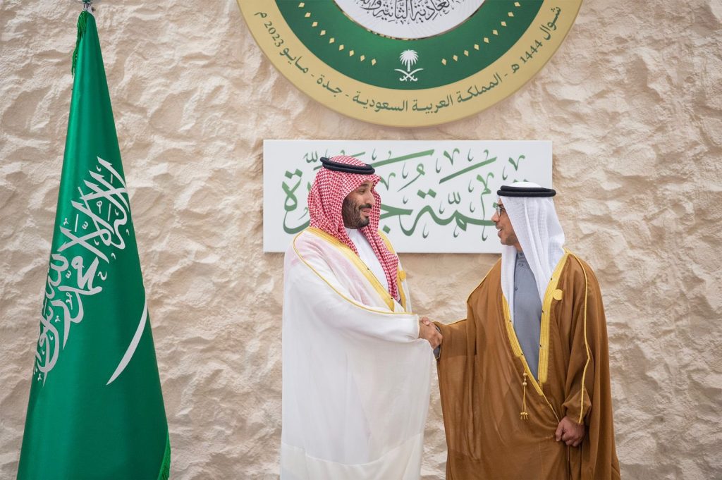 UAE supports all efforts to promote regional stability, peace: Mansour bin Zayed