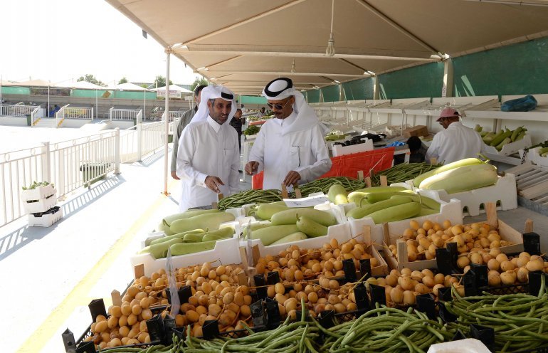 Qatar agricultural market to reach over $200m by 2028