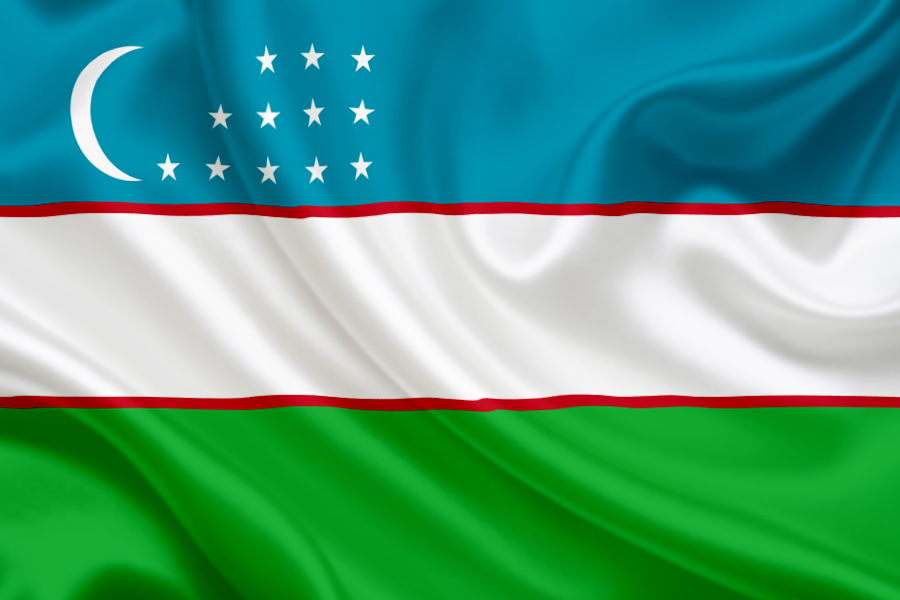 Presidential election campaign starts in Uzbekistan