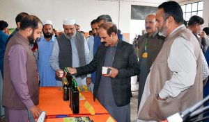 PARC Set to Transform Tea Cultivation in Pakistan: