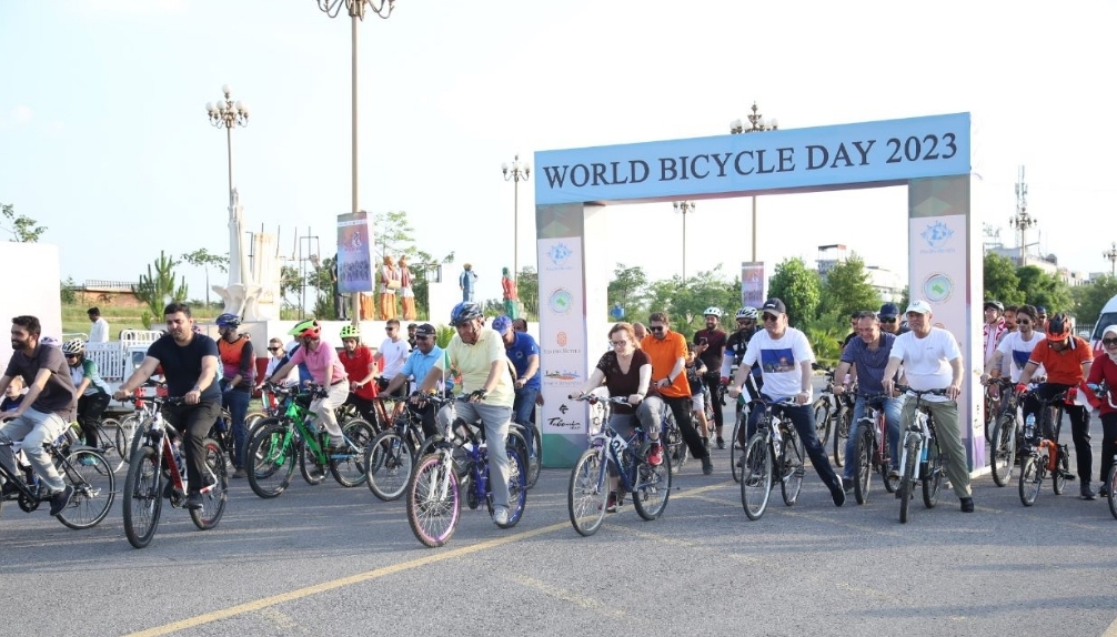 World Bicycle Day