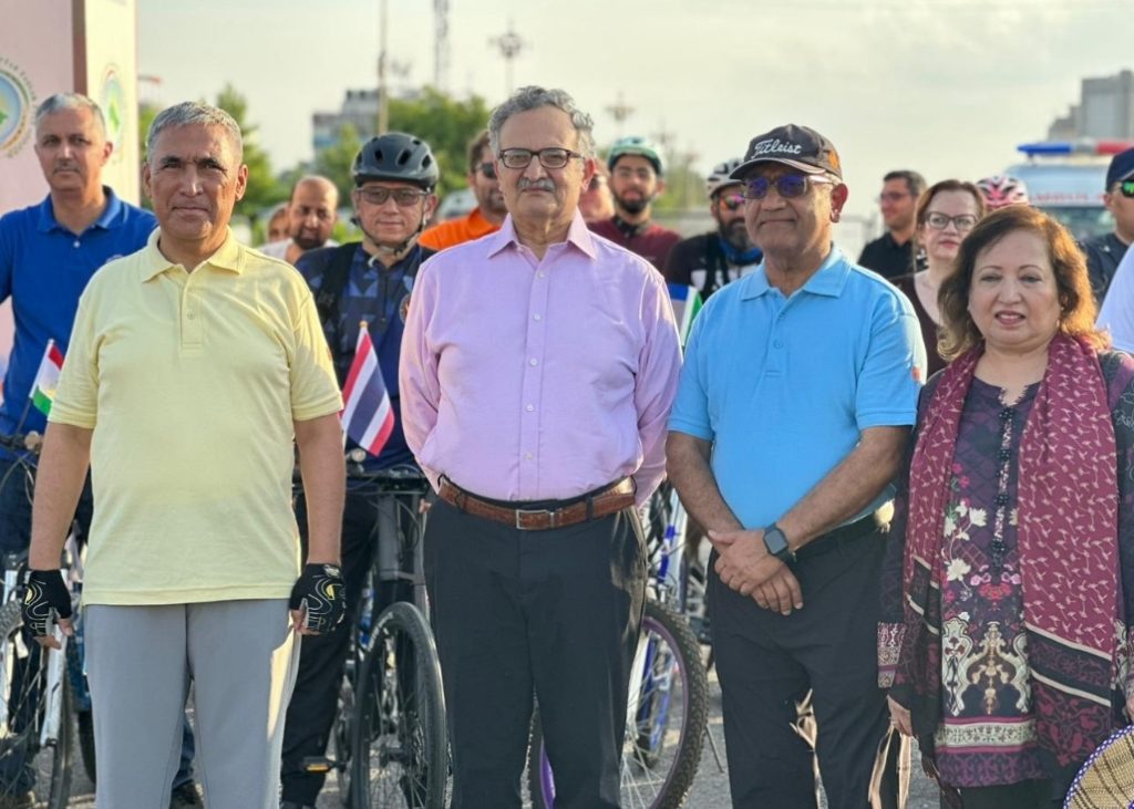 World Bicycle Day