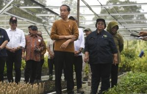 Jokowi instructs environment minister to anticipate long dry season