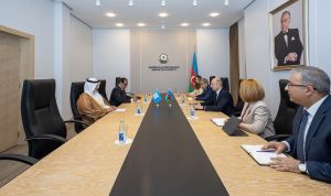 Azerbaijan, OPEC discuss development trends for supply dynamics