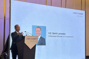 Indonesia has best market potential in Southeast Asia