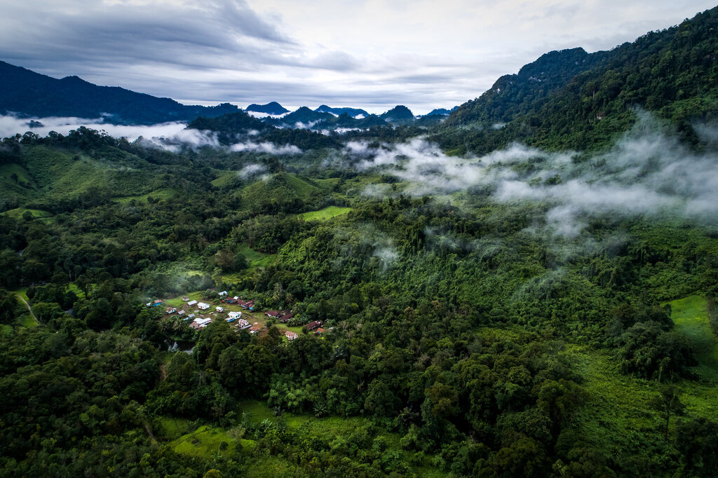 Deforestation in Indonesia towards decline