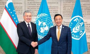 Shavkat Mirziyoyev sets priorities for practical cooperation with FAO