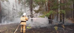 Kazakhstan: Fires in Abai region declared under control