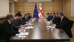 Azerbaijan, Georgia hold the next political consultations