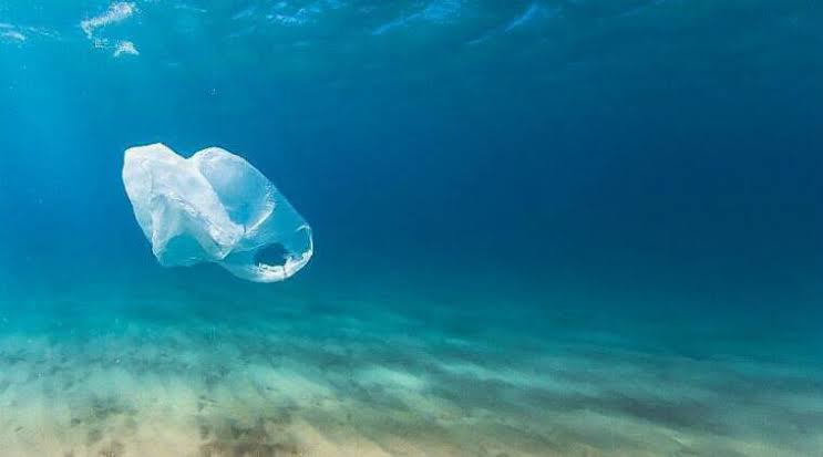 Indonesia calls for fight against plastic waste pollution
